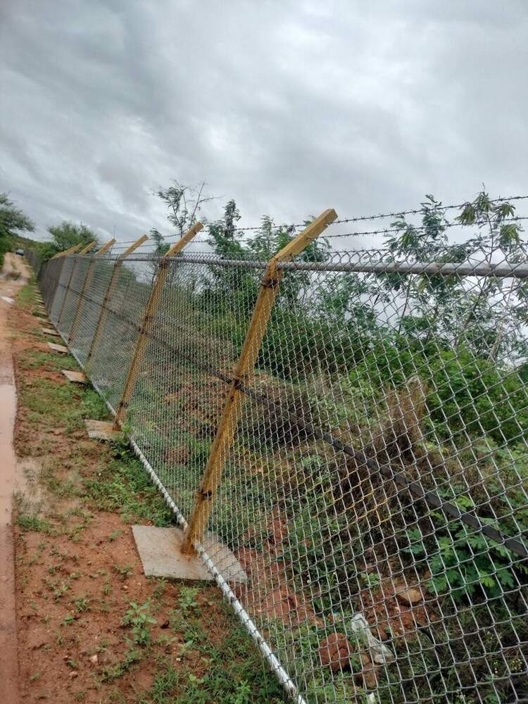 Angle iron fence posts with barbed wire on top