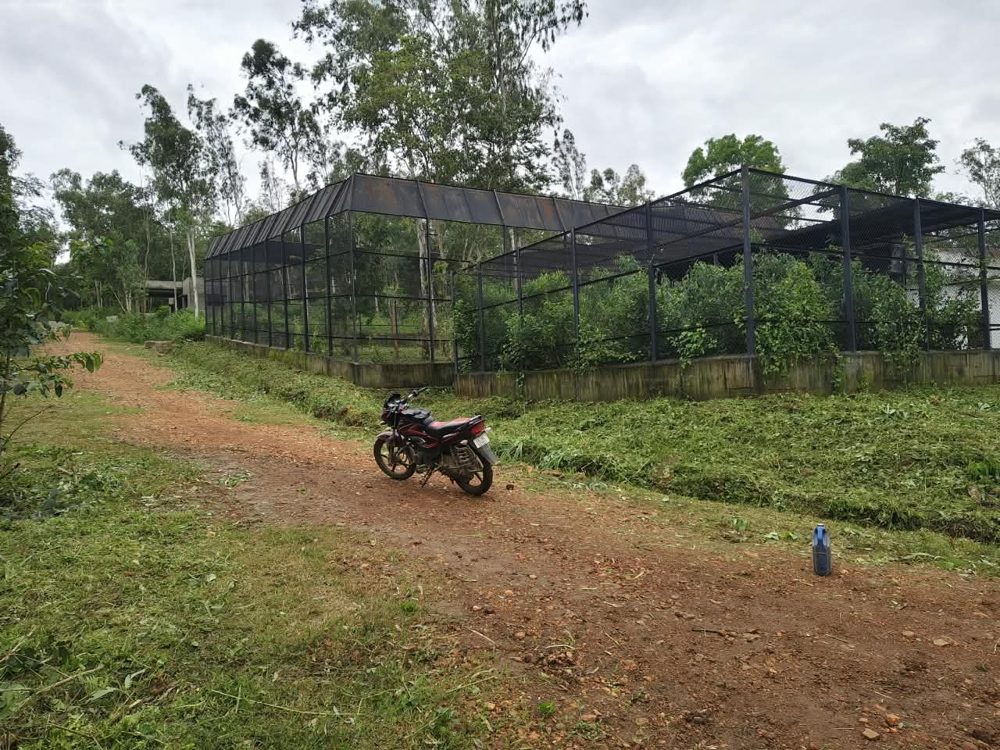 Paddock enclosures at the rescue centre