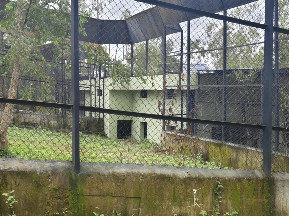 Paddock mesh with holding room behind