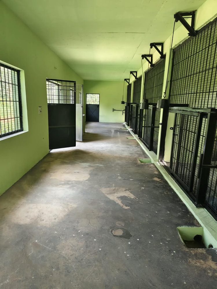 Holding room corridor with steel cage gates