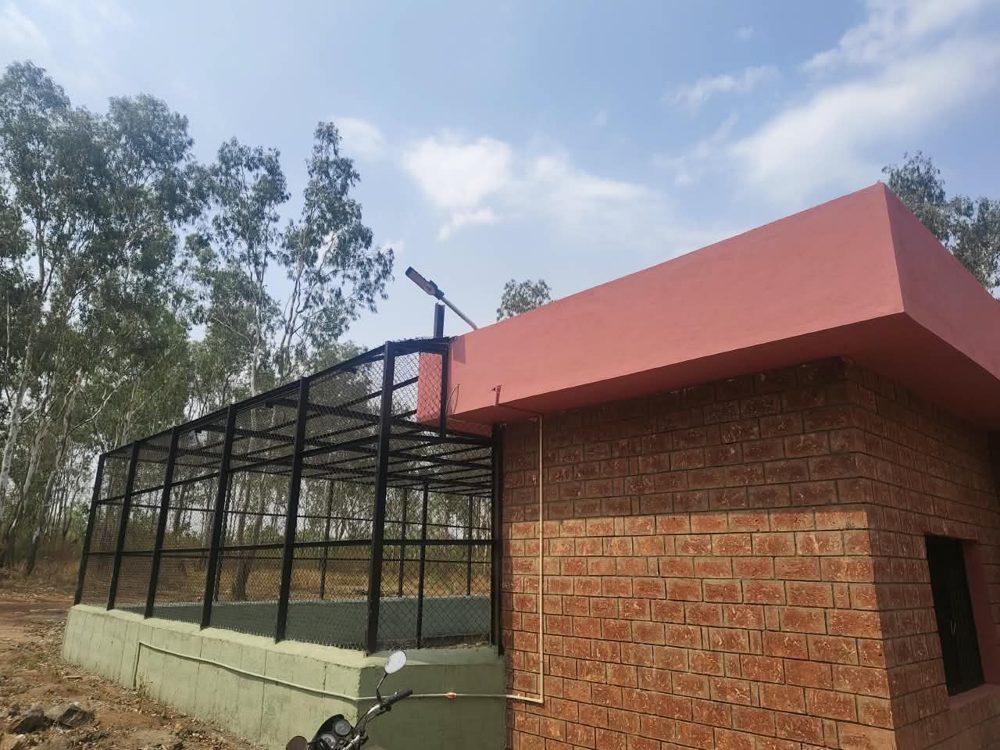 Tiger holding room with steel paddock frame