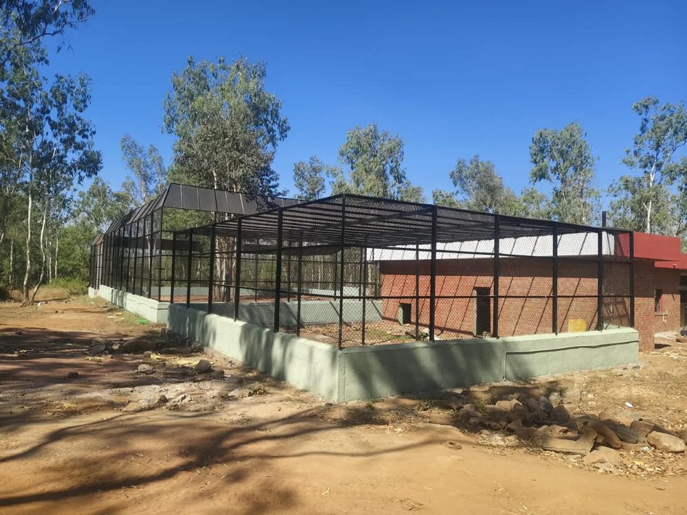 Welded steel paddock enclosure beside the tiger holding room